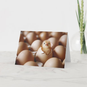 Carte Animaux de bébés cutest Nouveau bébé poussin