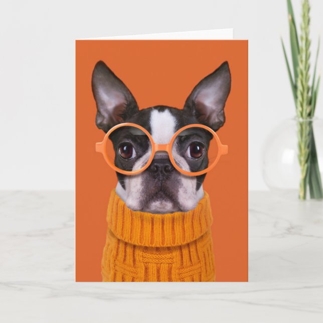 Carte Animaux de bébés cutest | Orange Boston Terrier (Devant)