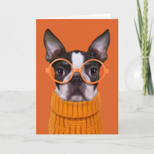 Carte Animaux de bébés cutest   Orange Boston Terrier