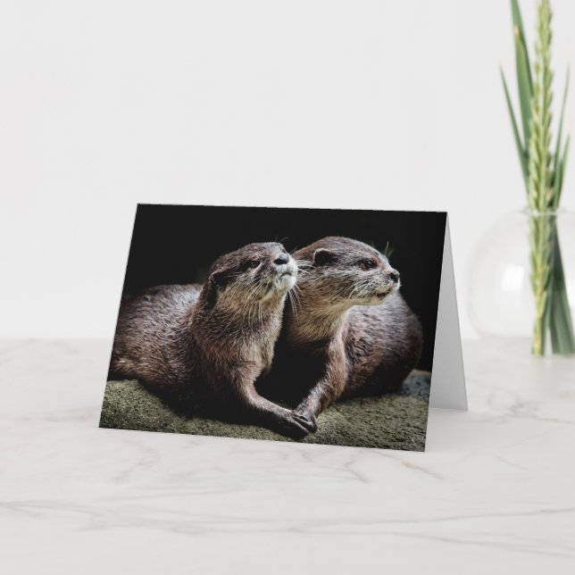 Carte Animaux de bébés cutest | Otters tenant les mains (Devant)