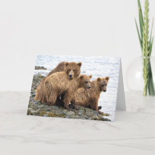 Carte Animaux de bébés cutest   Ours et oursons
