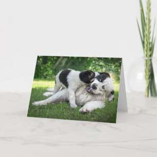 Carte Animaux de bébés cutest Remorque