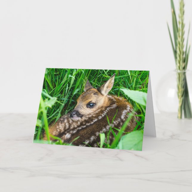 Carte Animaux de bébés cutest | Roe Deer Baby (Devant)