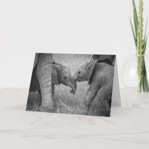 Carte Animaux de bébés cutest   Salutation des éléphants