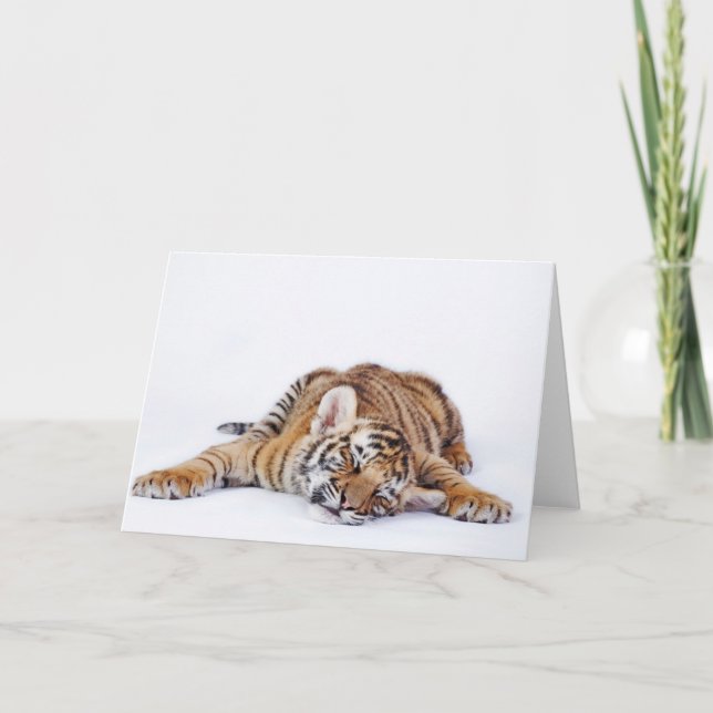 Carte Animaux de bébés cutest | Sleepy Baby Tiger Cub (Devant)