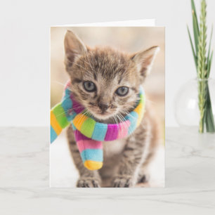 Carte Animaux de bébés cutest   Tabby Kitten Écharpe arc