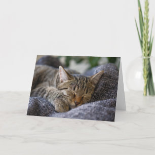 Carte Animaux de bébés cutest Tabby Kitten Sommeil