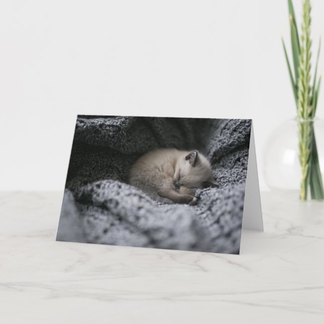 Carte Animaux de bébés cutest | Tiny Kitten Dormir (Devant)