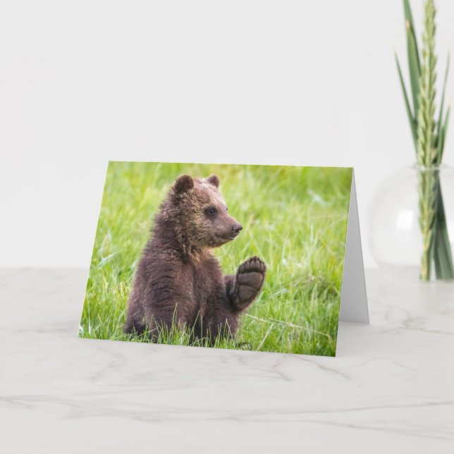 Carte Animaux de bébés cutest | Vague d'ours Brown (Devant)