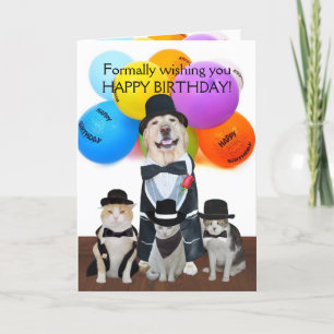 Carte Animaux de compagnie formels amusants Anniversaire