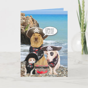Carte Animaux de compagnie Pirate Funny Anniversaire