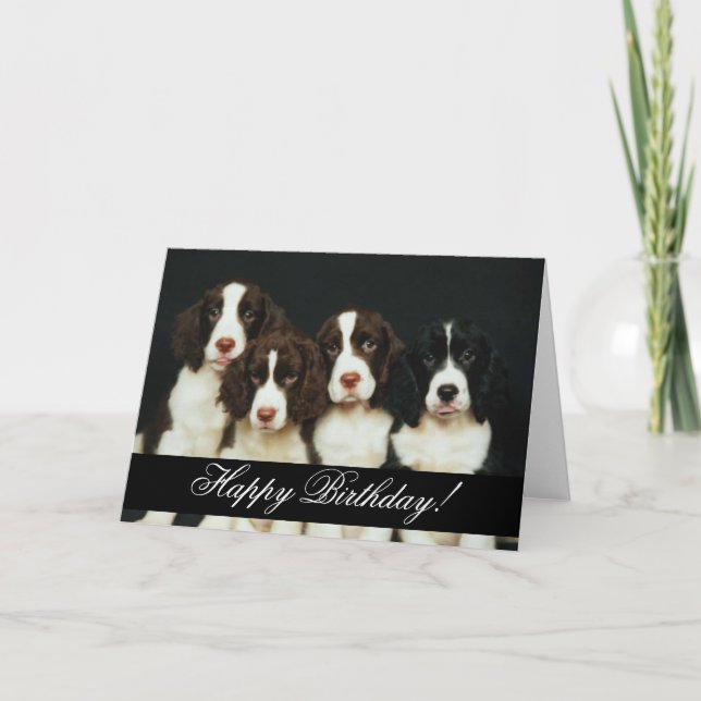 Carte Animaux domestiques 252 Joyeux anniversaire (Devant)