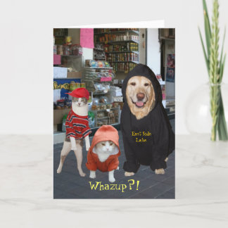 Carte Animaux familiers/chats/anniversaire drôles