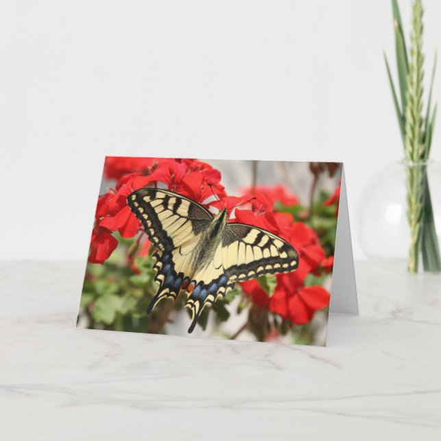 Carte Anise Swallowtail (Devant)