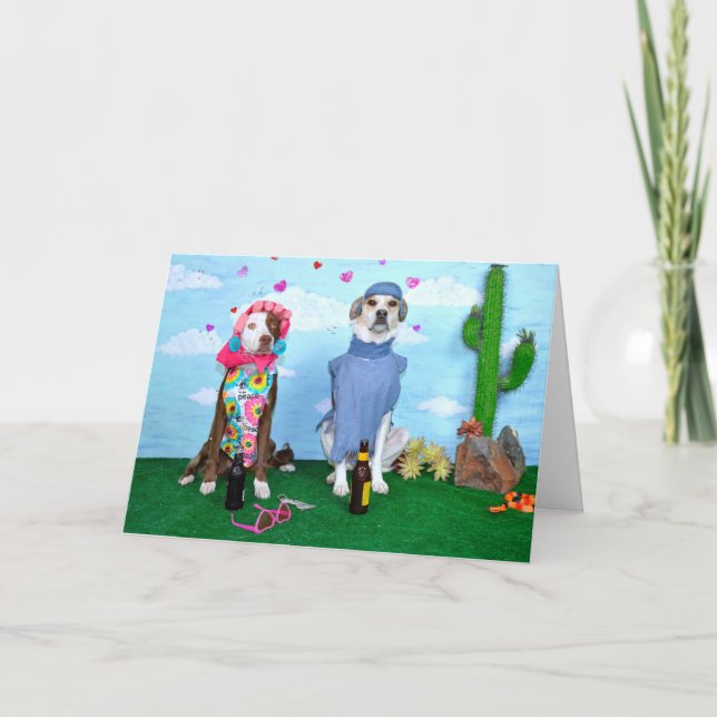 Carte Aniversary card, humorous, dogs in clothes (Devant)