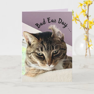 Carte Annie's Bad Ear Day (Cat Greeting Card)