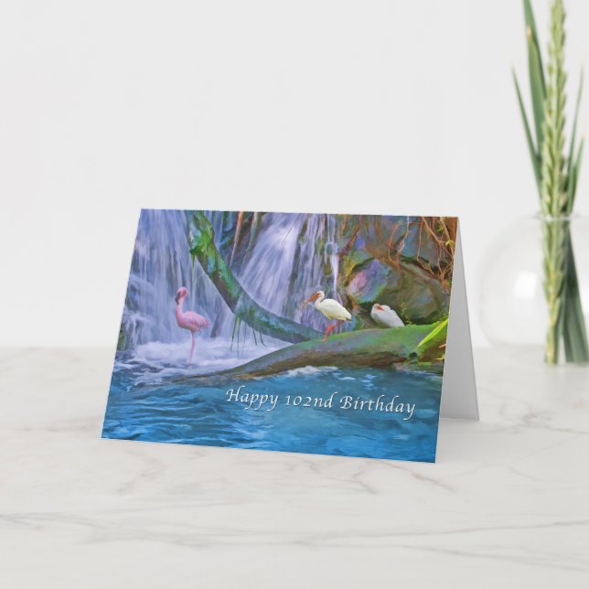 Carte Anniversaire, 102nd, cascade tropicale, oiseaux (Devant)