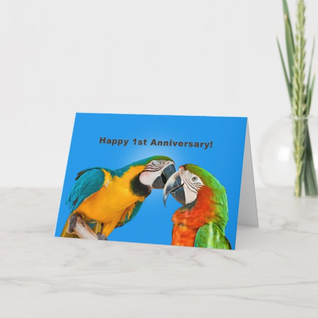 Carte Anniversaire, 1ère, Perroquets amoureux (Devant)