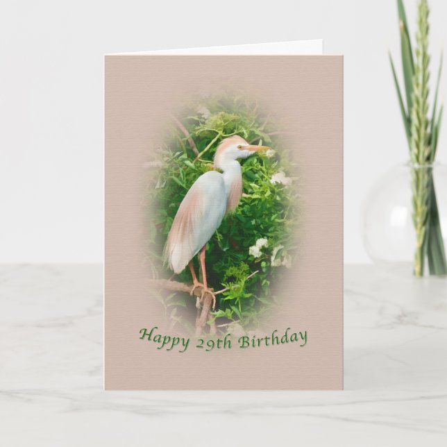 Carte Anniversaire, 29, Oiseau d'aigrettes de bovins per (Devant)