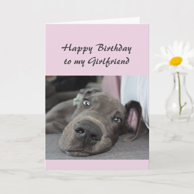 Carte Anniversaire à ma petite amie Fun Dog Relax Humour (Petite plante)
