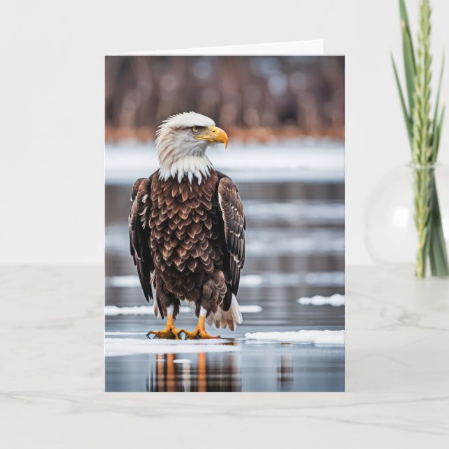 Carte Anniversaire Aigle Balle Sur Glace (Devant)