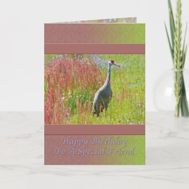 Carte Anniversaire, Ami, Grue de Sandhill Bird (Devant)