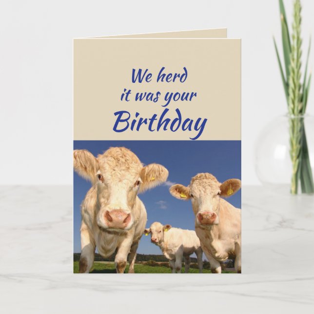 Carte Anniversaire Amusant De Nous Vache Animal Humour (Devant)