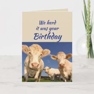 Carte Anniversaire Amusant De Nous Vache Animal Humour