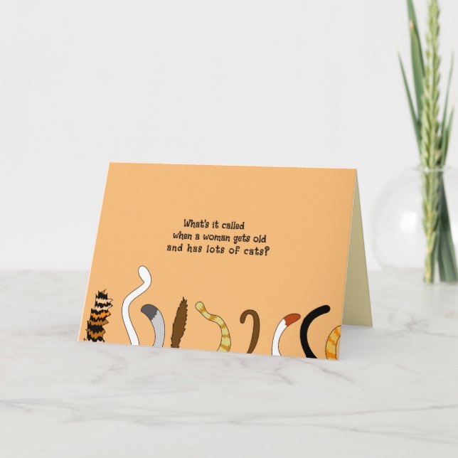 Carte Anniversaire amusant pour Crazy Cat Lady Senior Ol (Devant)