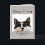 Carte Anniversaire amusant Vieillesse sur la colline, Hu<br><div class="desc">Je t'aime ou tu t'es tu t'es tu t'es tu t'es tu t'es tu t'es tu t'es tu t'il a delusional old fart. Humour de Cat Birthday.</div>