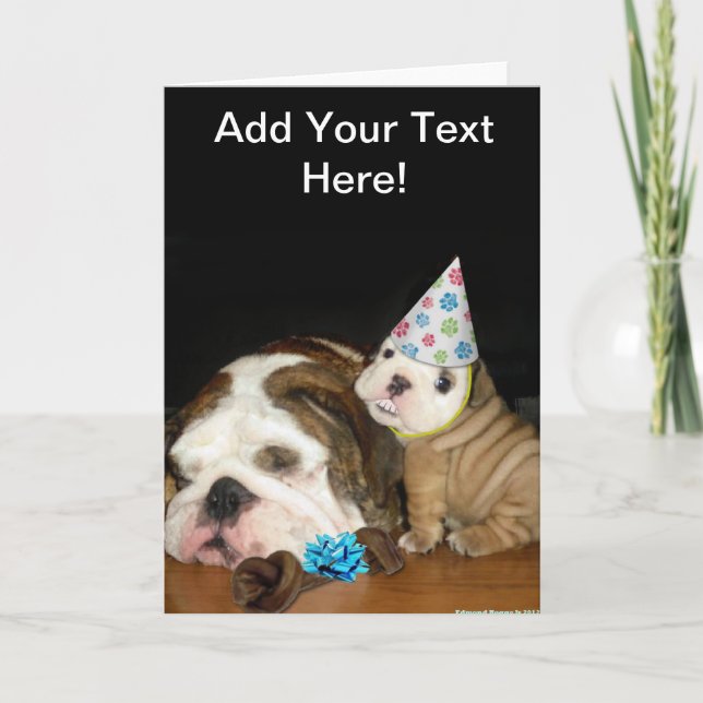 Carte Anniversaire anglais de bouledogue (Devant)