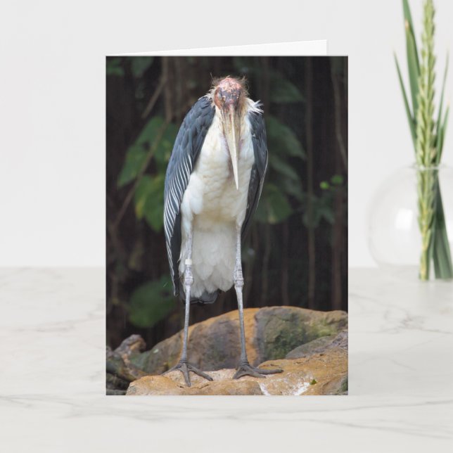 Carte Anniversaire Anniversaire (Devant)