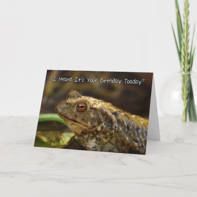 Carte Anniversaire Avec Crapaud Sauvage Jouer Sur  (Devant)