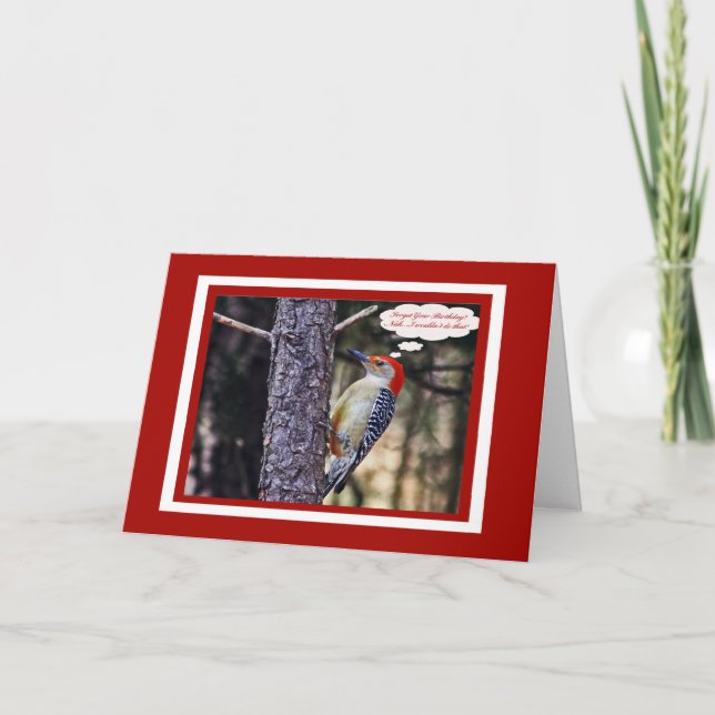 Carte Anniversaire Avec Funny Red Bellied Pic (Devant)