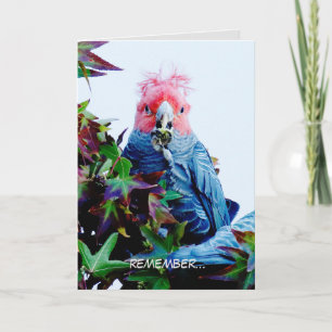 Carte anniversaire avec Gang Gang Cockatoo (oiseau