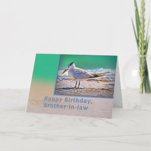 Carte Anniversaire, beau-frère, Royal Tern Bird
