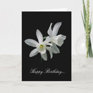 Carte Anniversaire blanc de narcisse
