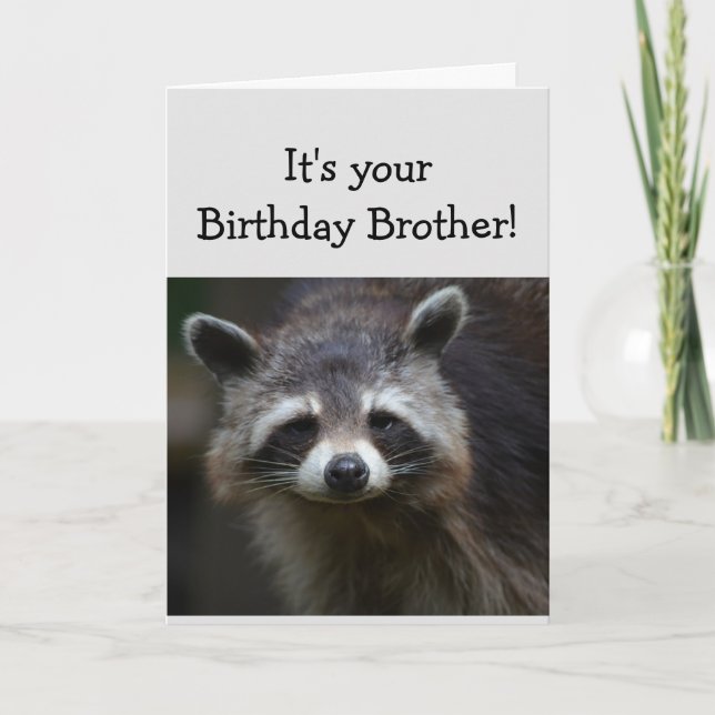 Carte Anniversaire BROTHER Fun Age Humour Triste Raccoon (Devant)