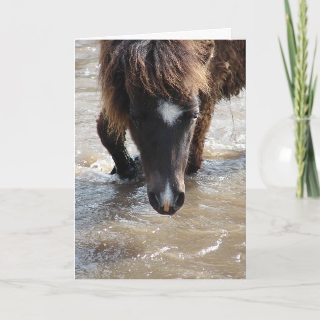 Carte Anniversaire Cheval à la Piscine (Devant)