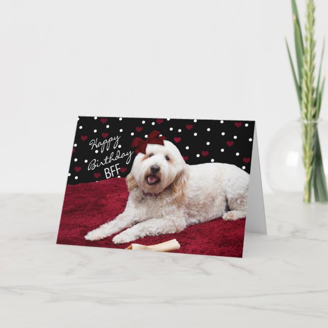 CARTE ANNIVERSAIRE - CHIEN DOODLE EN OR (Devant)