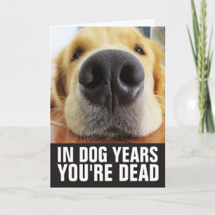 CARTE ANNIVERSAIRE CHIEN, EN ANNÉES DE CHIEN VOUS ÊTES M