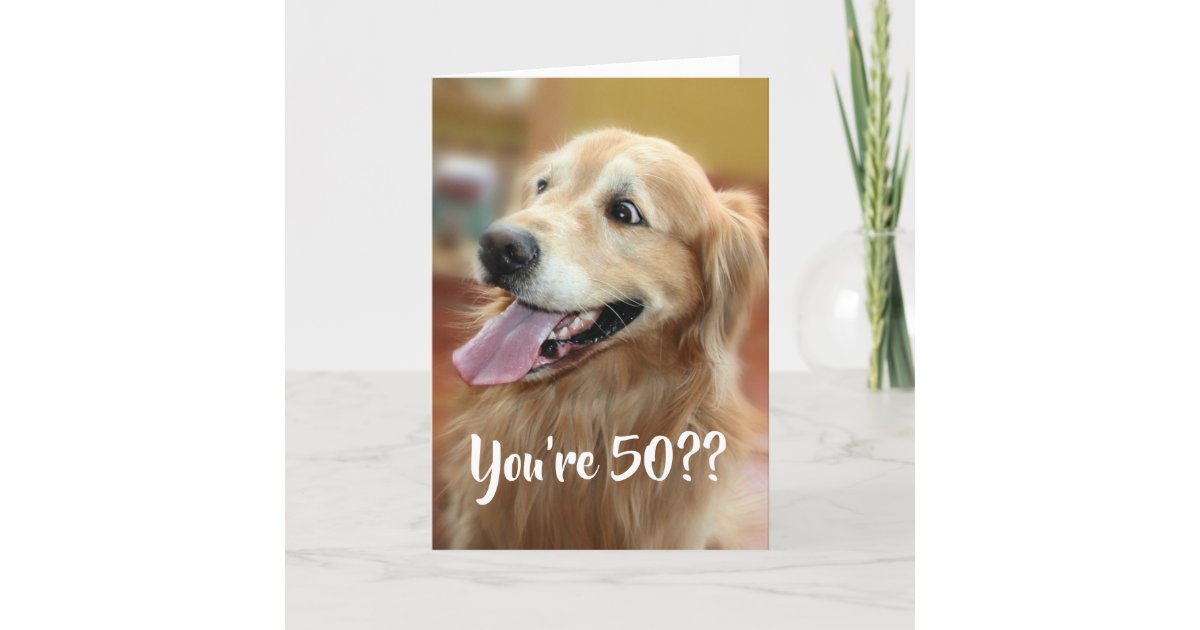 Carte Anniversaire Choque De Chien De Golden Retriever Zazzle Fr