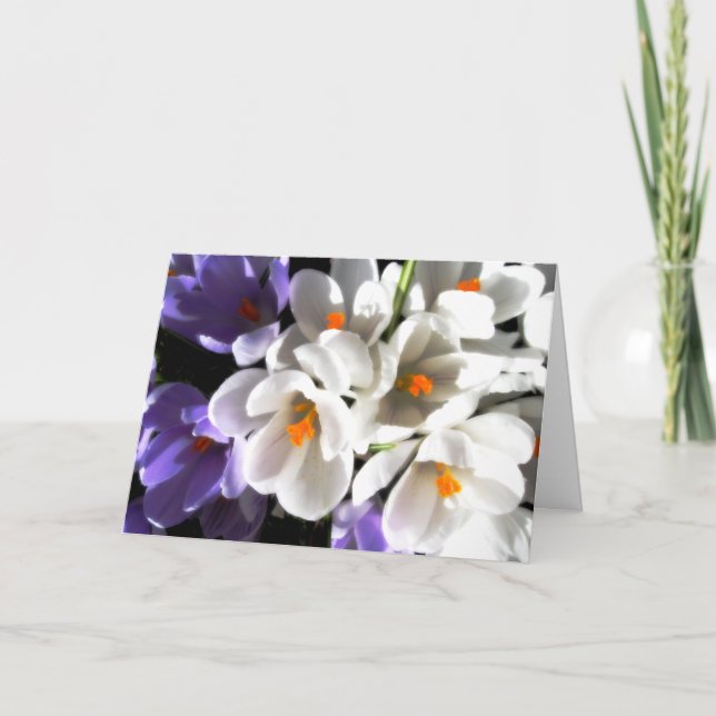 Carte Anniversaire-Crocus heureux (Devant)