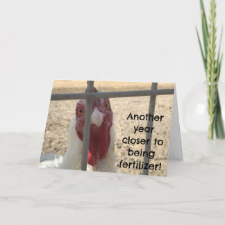 Carte Anniversaire d'adulte âgé humoristique