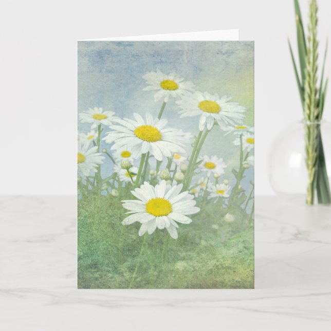 Carte Anniversaire Daisy Field (Devant)