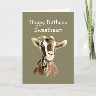 Cartes De Vœux Chevre Drole Zazzle Fr