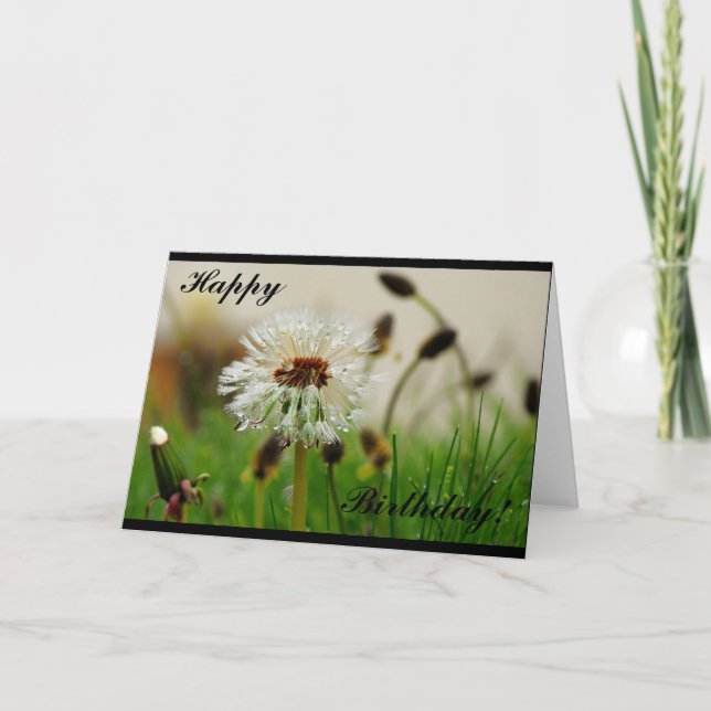 Carte Anniversaire Dandelion (Devant)