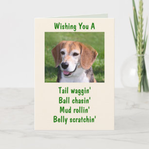 Cadeaux Beagle Joyeux Anniversaire Zazzle Fr