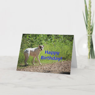 Carte Anniversaire de boîte