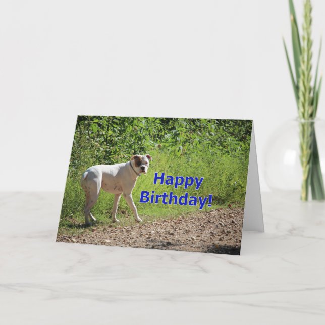 Carte Anniversaire de boîte (Devant)